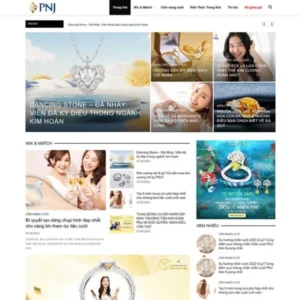 Mẫu website tin tức 25