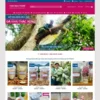 Mẫu website bán đặc sản (Hoa Ban Food)